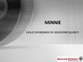 MINNIE PowerPoint PPT Presentation