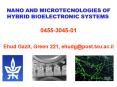 NANO AND MICROTECNOLOGIES OF HYBRID BIOELECTRONIC SYSTEMS PowerPoint PPT Presentation
