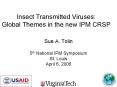 Insect Transmitted Viruses: Global Themes in the new IPM CRSP PowerPoint PPT Presentation