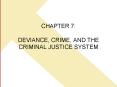 CHAPTER 7:  DEVIANCE, CRIME, AND THE CRIMINAL JUSTICE SYSTEM PowerPoint PPT Presentation