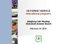 US FOREST SERVICE PowerPoint PPT Presentation