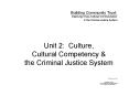 Unit 2: Culture, Cultural Competency PowerPoint PPT Presentation