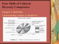 Four Skills of Cultural Diversity Competence PowerPoint PPT Presentation