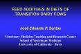FEED ADDITIVES IN DIETS OF TRANSITION DAIRY COWS   Jos PowerPoint PPT Presentation