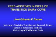 FEED ADDITIVES IN DIETS OF TRANSITION DAIRY COWS   Jos