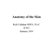 Anatomy of the Skin