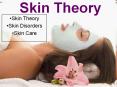 Skin Theory PowerPoint PPT Presentation