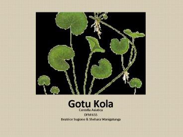 Gotu Kola