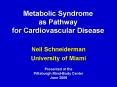 Metabolic Syndrome as Pathway for Cardiovascular Disease PowerPoint PPT Presentation