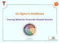 Six Sigma in Healthcare  Training Model for Greenville Hospital Systems PowerPoint PPT Presentation