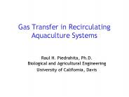 Gas Transfer in Recirculating Aquaculture Systems