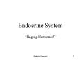 Endocrine System PowerPoint PPT Presentation