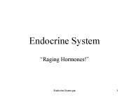 Endocrine System