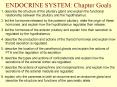 ENDOCRINE SYSTEM: Chapter Goals PowerPoint PPT Presentation