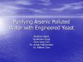 Purifying Arsenic Polluted Water with Engineered Yeast PowerPoint PPT Presentation