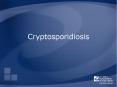 Cryptosporidiosis PowerPoint PPT Presentation