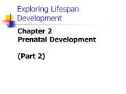 Exploring Lifespan Development