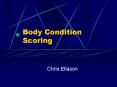 Body Condition Scoring PowerPoint PPT Presentation