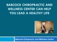 Babcock Chiropractic and Wellness Center can help you Lead a Healthy Life PowerPoint PPT Presentation