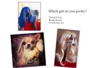 Cute Animal Wigs