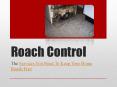 Roach Control - The Services You Need To Keep Your Home Roach Free PowerPoint PPT Presentation