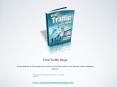 Viral Traffic Surge PowerPoint PPT Presentation