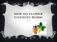How do flower essences work