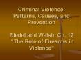 Criminal Violence: Patterns, Causes, and Prevention Riedel and Welsh, Ch. 12  PowerPoint PPT Presentation