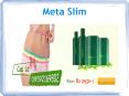 Meta Slim PowerPoint PPT Presentation
