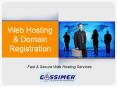 Fast and secure Web Hosting Servicing Firm