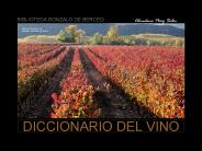 DICCIONARIO DEL VINO