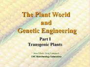 The Plant World and Genetic Engineering