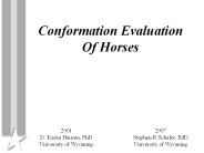 Conformation Evaluation Of Horses