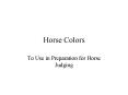 Horse Colors PowerPoint PPT Presentation