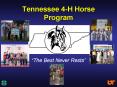 Tennessee 4-H Horse Program PowerPoint PPT Presentation