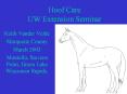 Hoof Care UW Extension Seminar PowerPoint PPT Presentation