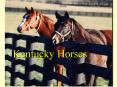 Kentucky Horses PowerPoint PPT Presentation