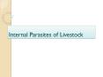 Internal Parasites of Livestock PowerPoint PPT Presentation