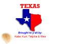 TEXAS PowerPoint PPT Presentation