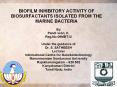 BIOFILM INHIBITORY ACTIVITY OF BIOSURFACTANTS ISOLATED FROM THE MARINE BACTERIA PowerPoint PPT Presentation