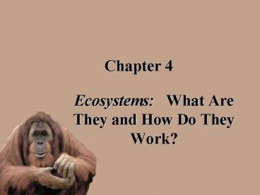 Ecosystems:  What Are They and How Do They Work?