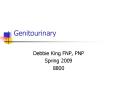 Genitourinary PowerPoint PPT Presentation