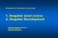 1. Ibogaine (brief review) 2. Ibogaine Development PowerPoint PPT Presentation