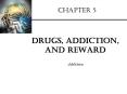 Drugs, Addiction, and Reward PowerPoint PPT Presentation