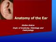 Anatomy of the Ear PowerPoint PPT Presentation