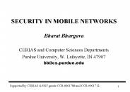 SECURITY IN MOBILE NETWORKS