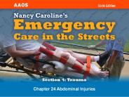 Chapter 24 Abdominal Injuries