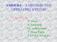 AMOEBA  PowerPoint PPT Presentation