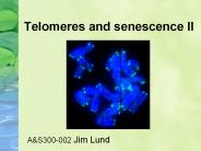 Telomeres and senescence II