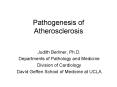 Pathogenesis of Atherosclerosis PowerPoint PPT Presentation